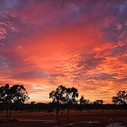 Home Owner wanting sitter in Rockhampton, Queensland