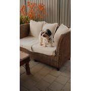 Home Owner wanting sitter in Mandurah, Western Australia