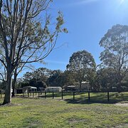 Home Owner wanting sitter in Caboolture , Queensland