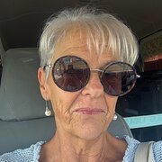 House Sitter - NineLives KittyKat & Dog Sitting