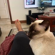 House Sitter - Earth Angel 