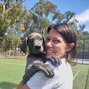 House Sitter - House and pet sitter