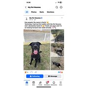 Home Owner wanting sitter in , Queensland