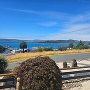 Home Owner wanting sitter in Launceston, Tasmania