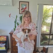House Sitter - Happily Retired.