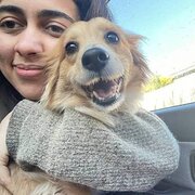 House Sitter - Alana 
