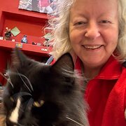 House Sitter - Retired, mature but young at heart!
