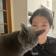 House Sitter - Minju Choi