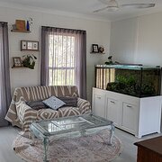 Home Owner wanting sitter in Brisbane, Queensland