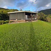 Home Owner wanting sitter in Cairns, Queensland