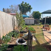 Home Owner wanting sitter in Bundaberg or Hervey Bay, Queensland