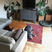 Home Owner wanting sitter in melbourne, Victoria