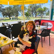 House Sitter - Mature, experienced pet lover