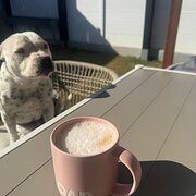 Home Owner wanting sitter in Park ridge , Queensland