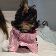 Home Owner wanting sitter in , Queensland