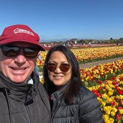 House Sitter - Mature and Reliable Couple
