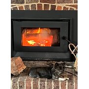 Home Owner wanting sitter in , Victoria