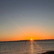 Home Owner wanting sitter in Melbourne, Victoria