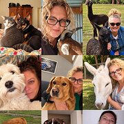 House Sitter - EXPERIENCED ANIMAL LOVER