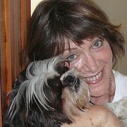 House Sitter - Penny Whiteley
