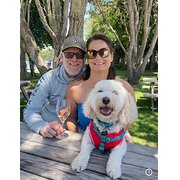 House Sitter - Kiwi Couple | Pet Lovers & Travel Enthus
