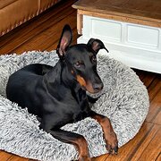 Home Owner wanting sitter in Perth, Western Australia