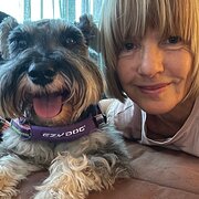 House Sitter - Big heart pet lover