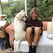 House Sitter - andy