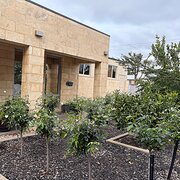 Home Owner wanting sitter in Adelaide, South Australia