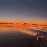 Home Owner wanting sitter in Mandurah , Western Australia