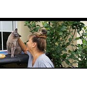 House Sitter - Caring/Trustworthy Experienced Sitters