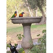Home Owner wanting sitter in Golden Grove, South Australia