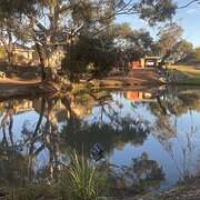 Home Owner wanting sitter in Wollongong, New South Wales