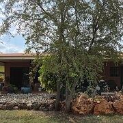 Home Owner wanting sitter in Darwin , Northern Territory