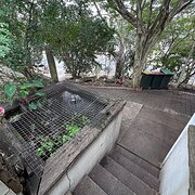 Home Owner wanting sitter in Brisbane, Queensland