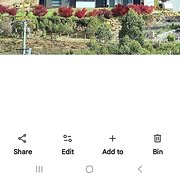 Home Owner wanting sitter in Stony Rise, Tasmania