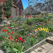 Home Owner wanting sitter in , New South Wales