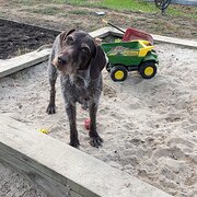 Home Owner wanting sitter in , Victoria
