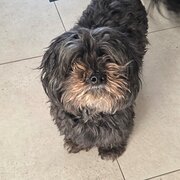 Home Owner wanting sitter in Perth, Western Australia