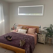 Home Owner wanting sitter in Wollongong , New South Wales