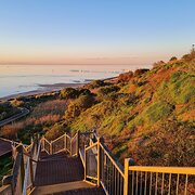Home Owner wanting sitter in Geelong, Victoria