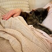 Home Owner wanting sitter in , Queensland
