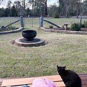 Home Owner wanting sitter in Armidale, New South Wales