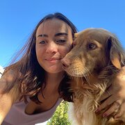 House Sitter - Tidy, Caring & Reliable Couple 