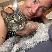 House Sitter - Animal lovers 