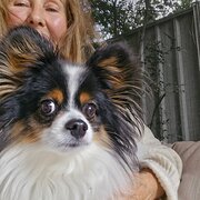 House Sitter - Love dogs&cats