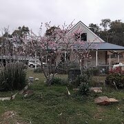 Home Owner wanting sitter in Castlemaine , Victoria