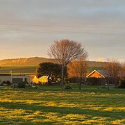 Home Owner wanting sitter in Launceston or Devonport , Tasmania