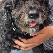 Home Owner wanting sitter in Success, Western Australia