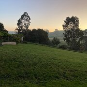 Home Owner wanting sitter in Melbourne, Victoria